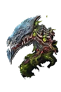 99x Betrayer’s Husk