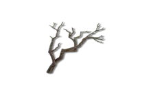 100x Corrupted Roots